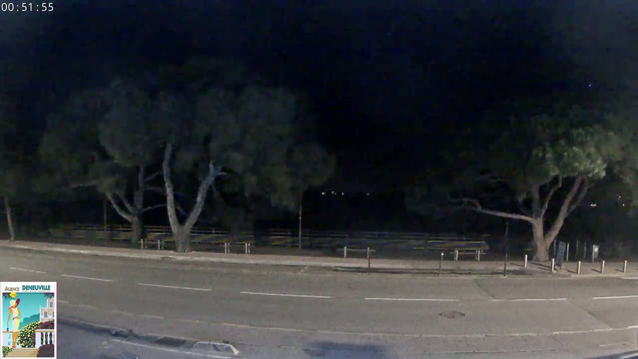A nighttime view of a road bordered by trees under a dark sky.
