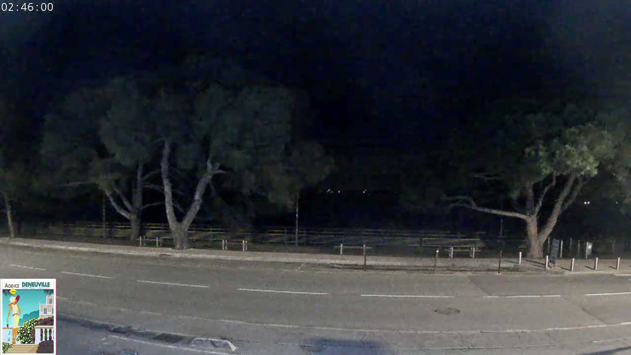 A nighttime street scene shows a road bordered by trees and a fenced-in area.