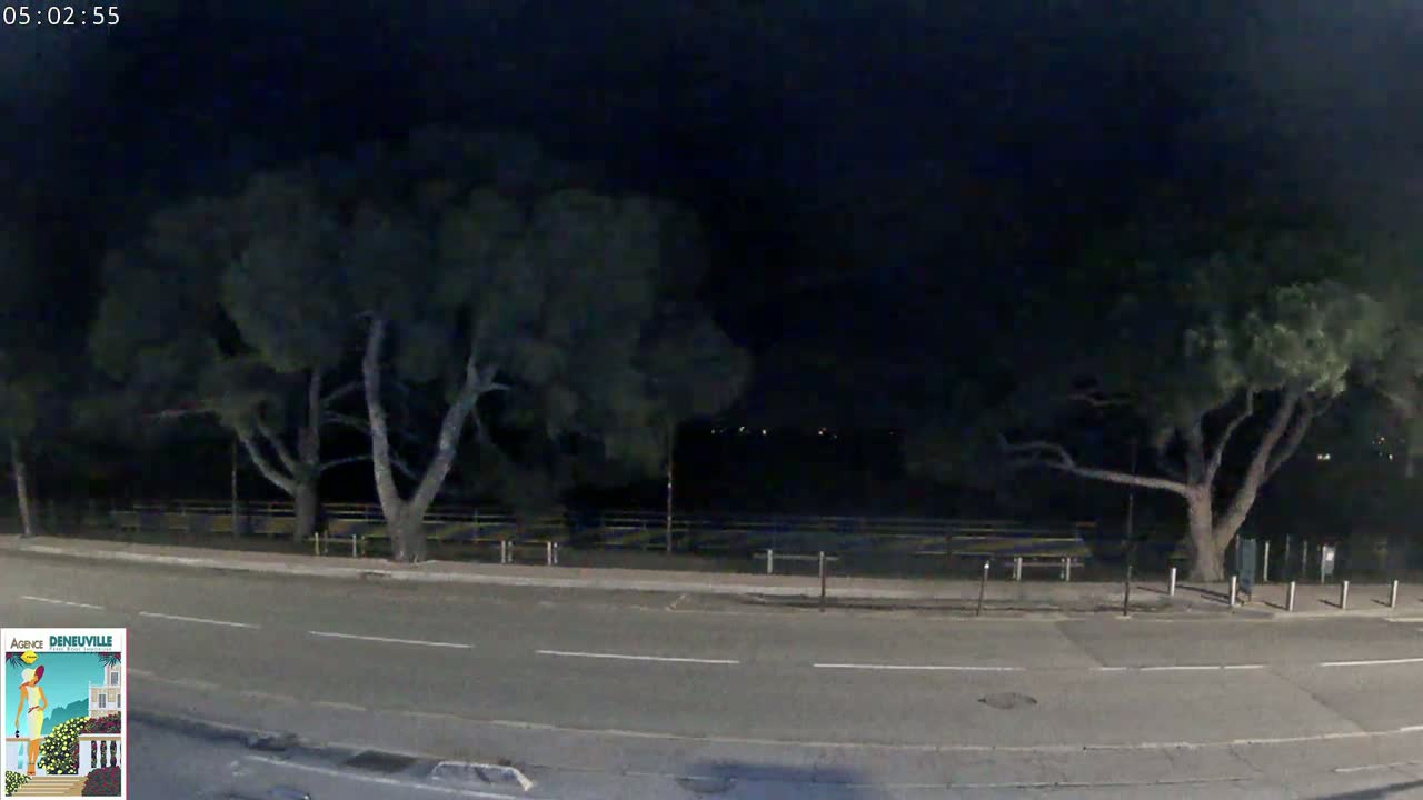 A dark night scene shows a road bordered by trees and a low fence, with dimly lit areas beyond.