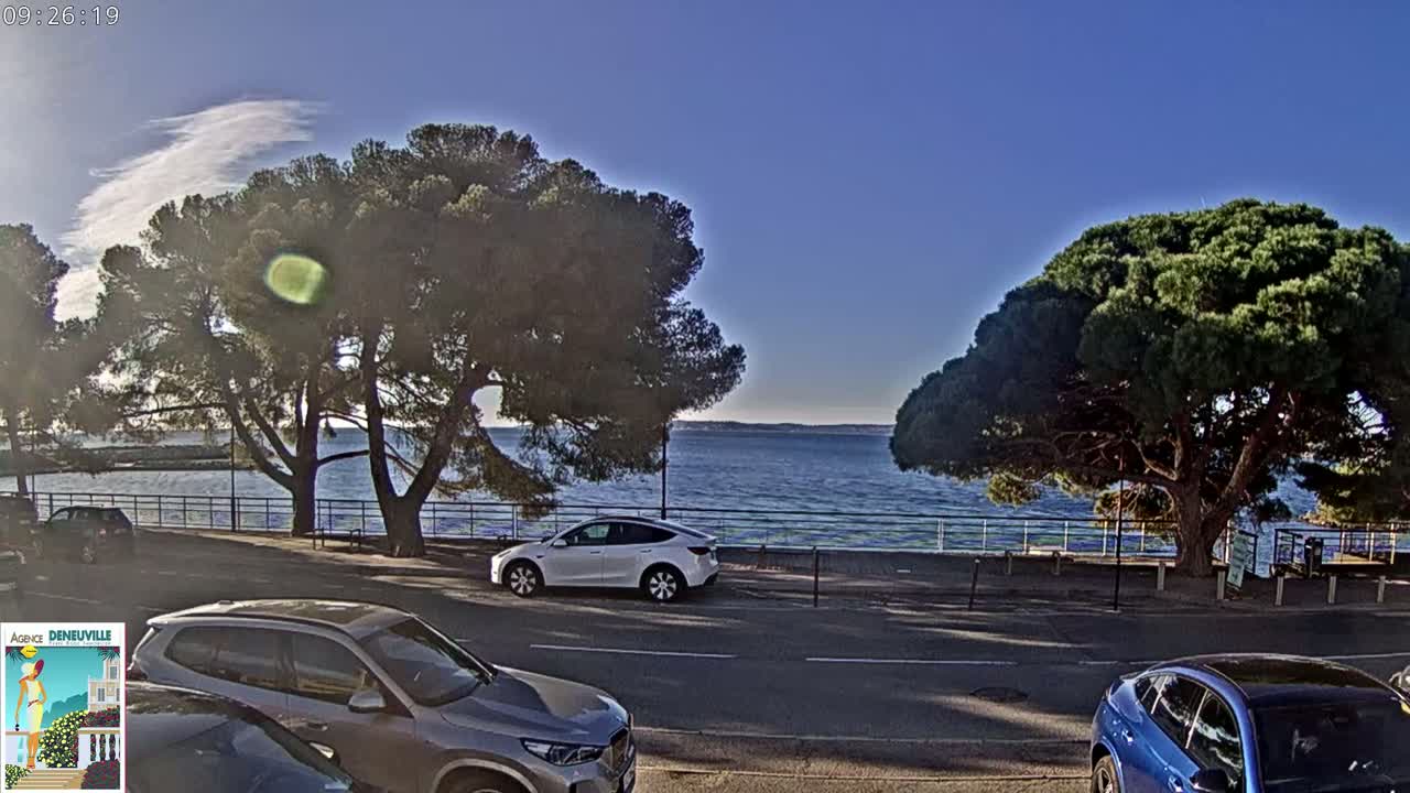 A sunny day overlooks a calm body of water, with several cars parked along a road lined with trees.