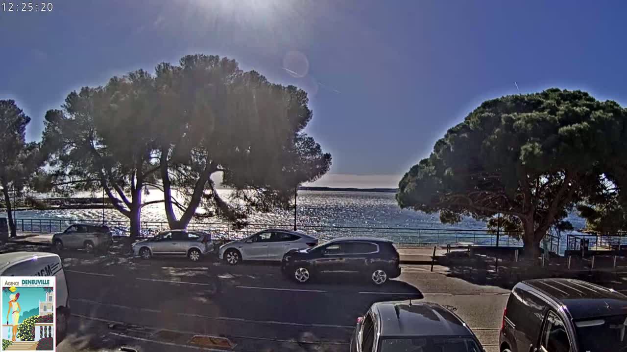 Several cars are parked along a road next to a body of water on a sunny day, with large pine trees shading the roadside.