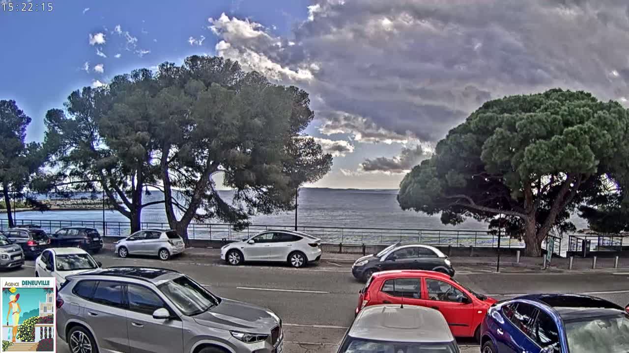 A partly cloudy day shows a parking lot of cars next to a calm sea, overlooked by several large pine trees.