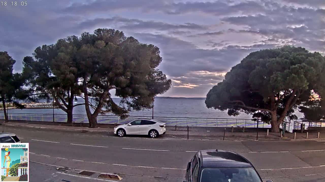 A white SUV is parked on a road near a calm body of water under a partly cloudy, dusky sky, with large pine trees lining the waterfront.
