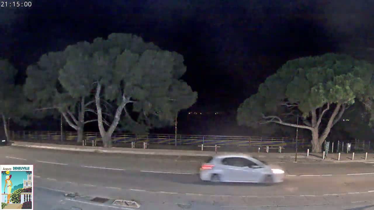 A silver car drives on a road at night, past two large, dark green trees under a clear, dark sky.