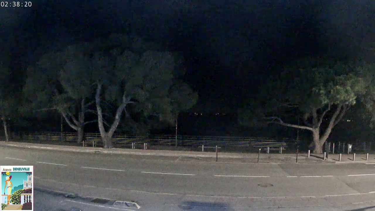 A nighttime view of a dark road bordered by trees and a low fence.