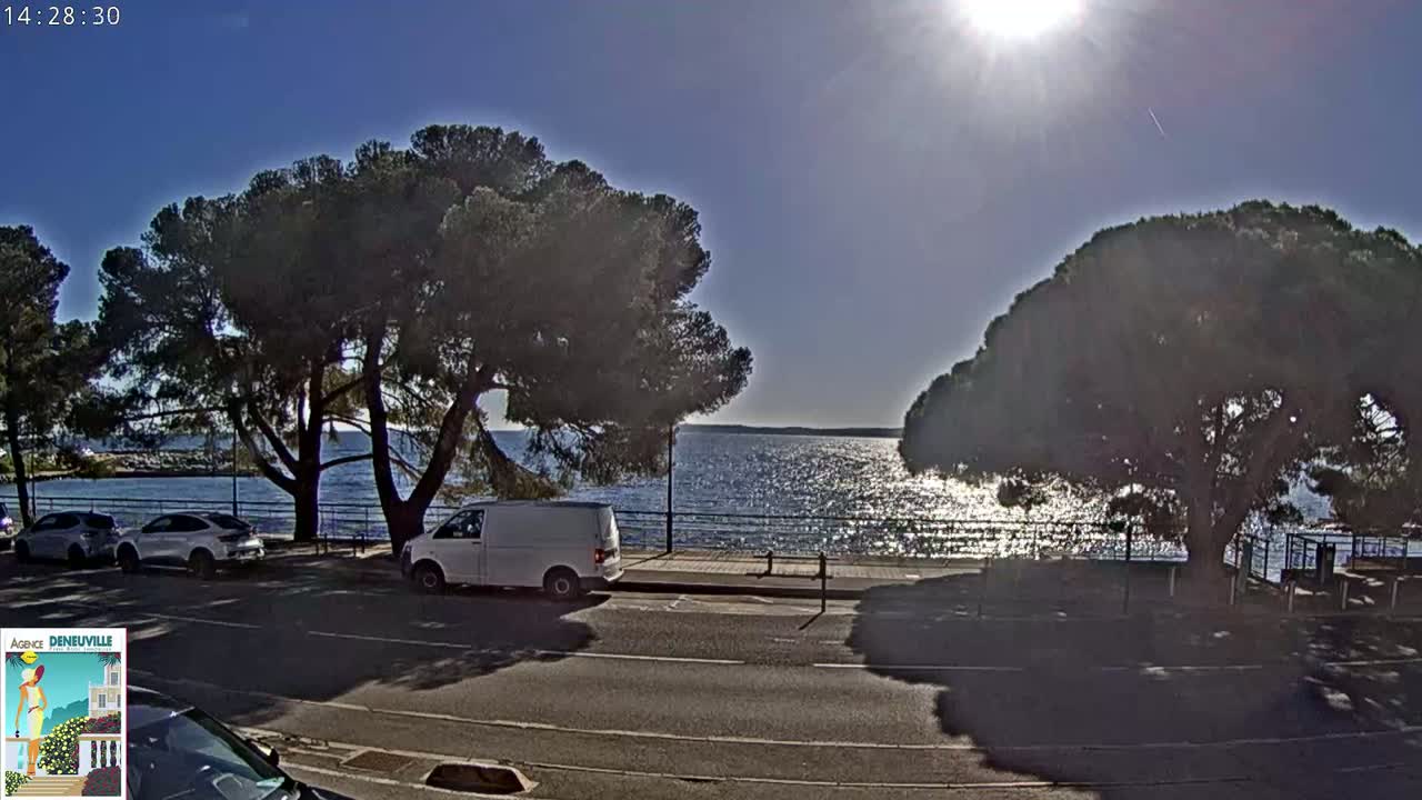 A sunny day shows a calm body of water, bordered by a road lined with parked cars and large, dark green trees.