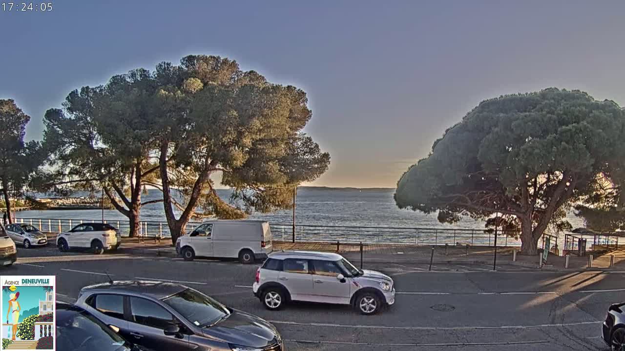 Several cars are parked along a road next to a calm body of water under a clear, twilight sky, with large pine trees lining the roadside.