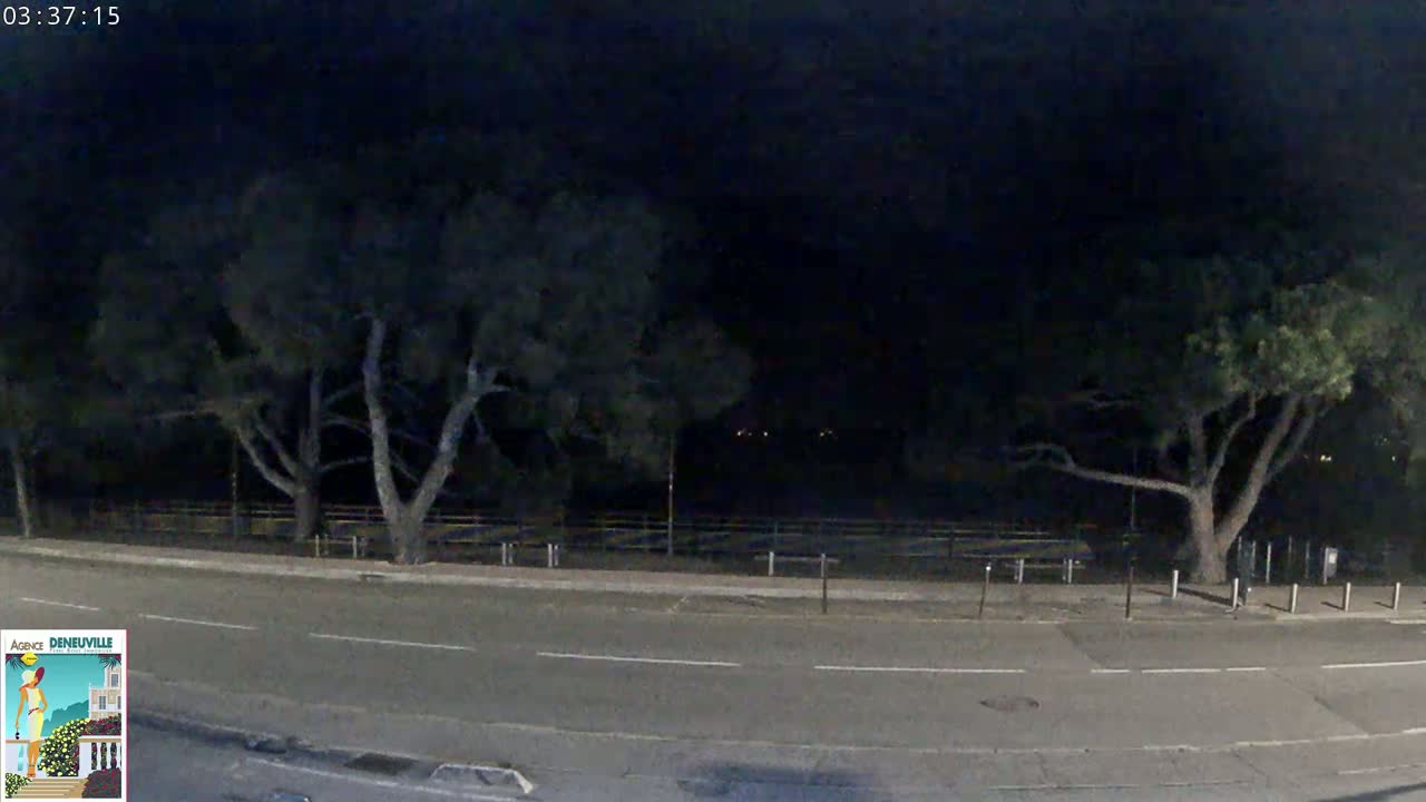 A nighttime view of a road bordered by trees under a dark sky.
