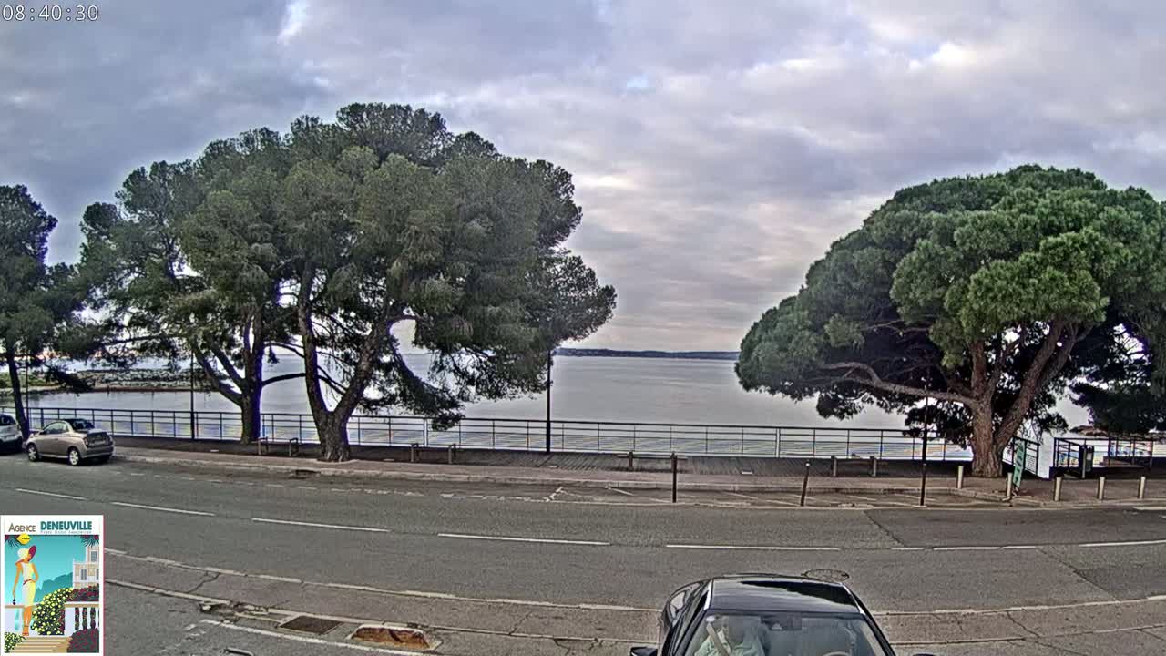 A calm body of water is seen from a roadside view, under a cloudy sky, with two large pine trees flanking a parking area and a roadway.