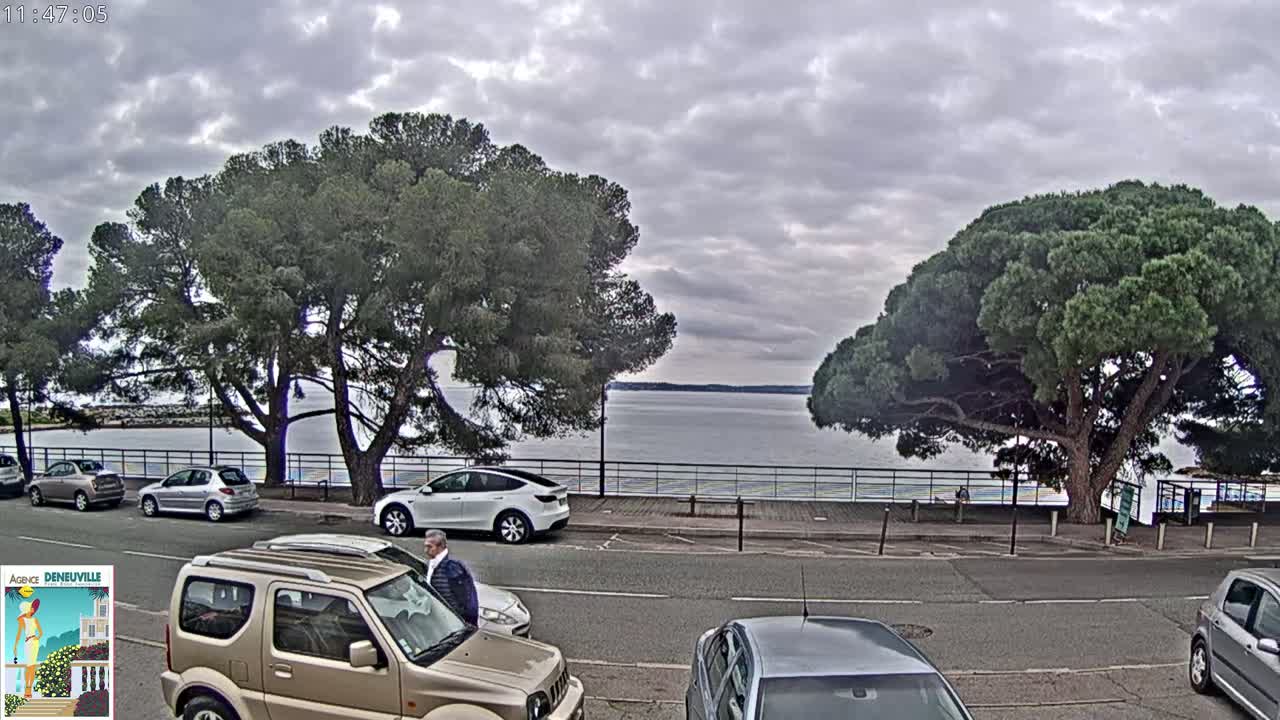 A man walks past parked cars near a calm body of water under a cloudy sky, with large pine trees shading the roadside.