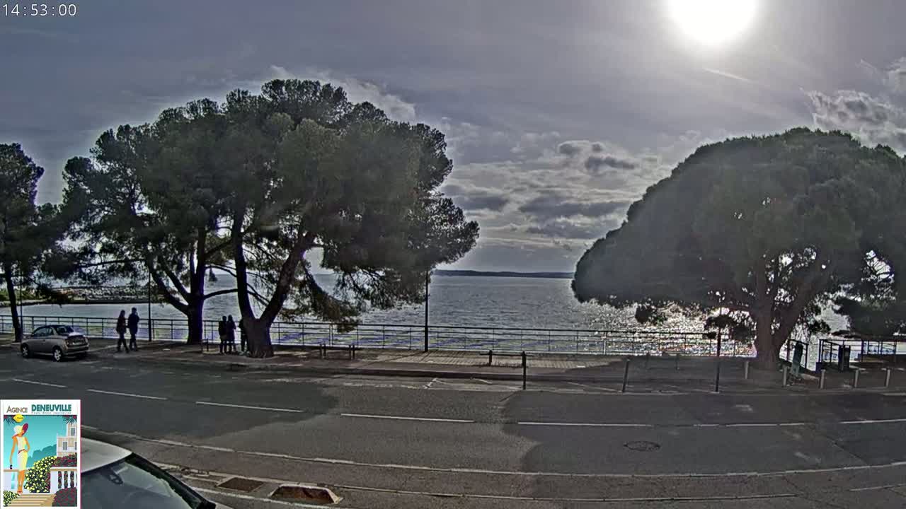 A partly sunny day shows a calm body of water behind a road lined with trees and a few people standing near parked cars.