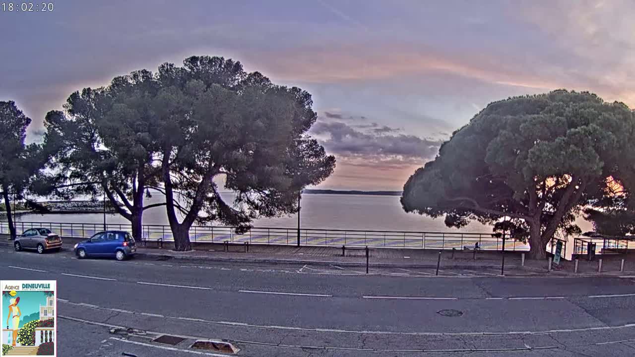 Two large pine trees flank a calm body of water at dusk, with several cars parked along a roadside near a fence.