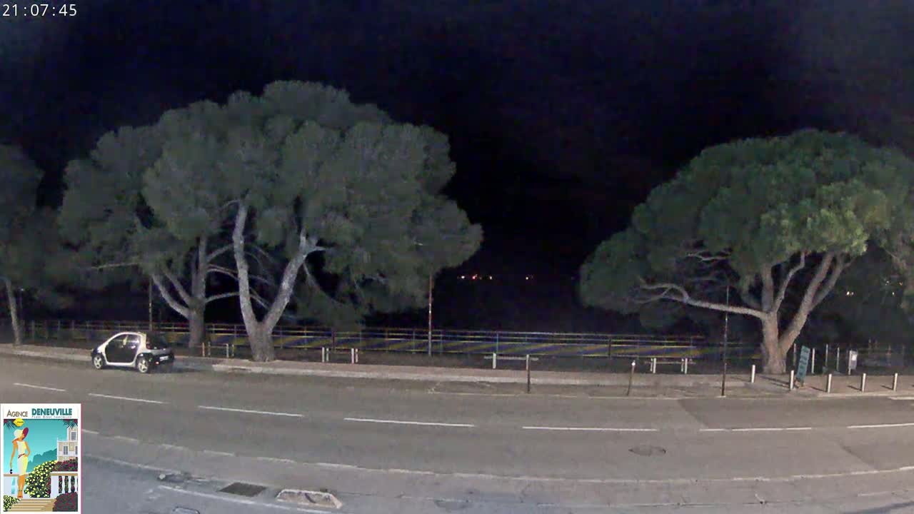 A small car is parked on a dark street at night, flanked by two large trees under a clear, dark sky.