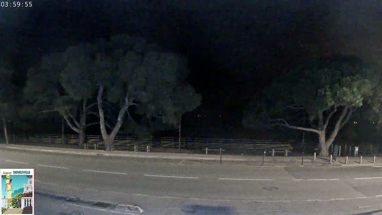 A nighttime view of a road bordered by trees under a dark sky.