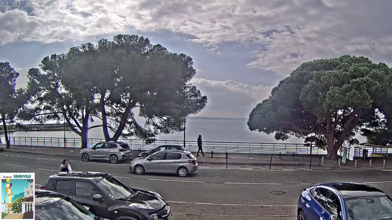 Several cars are parked along a roadway beside a calm body of water under a partly cloudy sky, with large pine trees shading the scene.