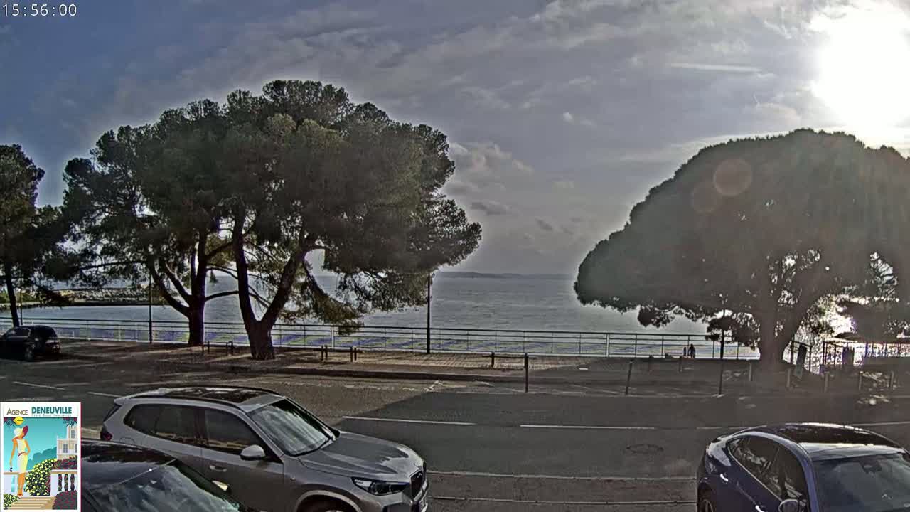 A partly sunny day with overcast skies shows a calm body of water beyond a paved road lined with trees and parked cars.