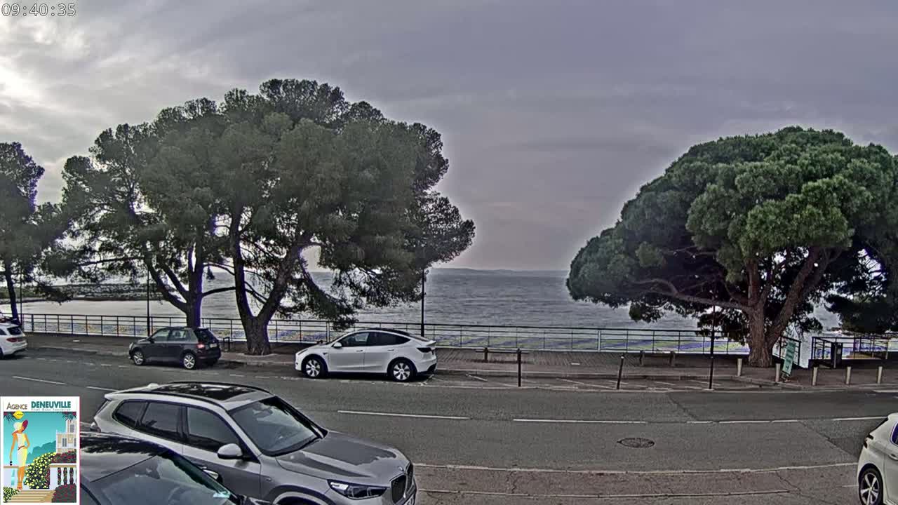 Several cars are parked along a roadside next to a calm body of water, with large pine trees shading the area under an overcast sky.