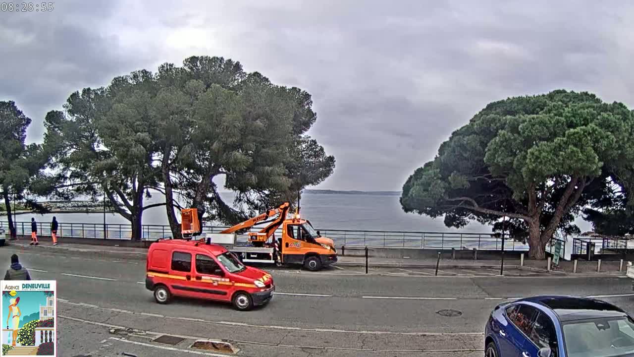 A red van and an orange bucket truck are parked on a road next to a body of water, under an overcast sky, with several large pine trees lining the roadside.