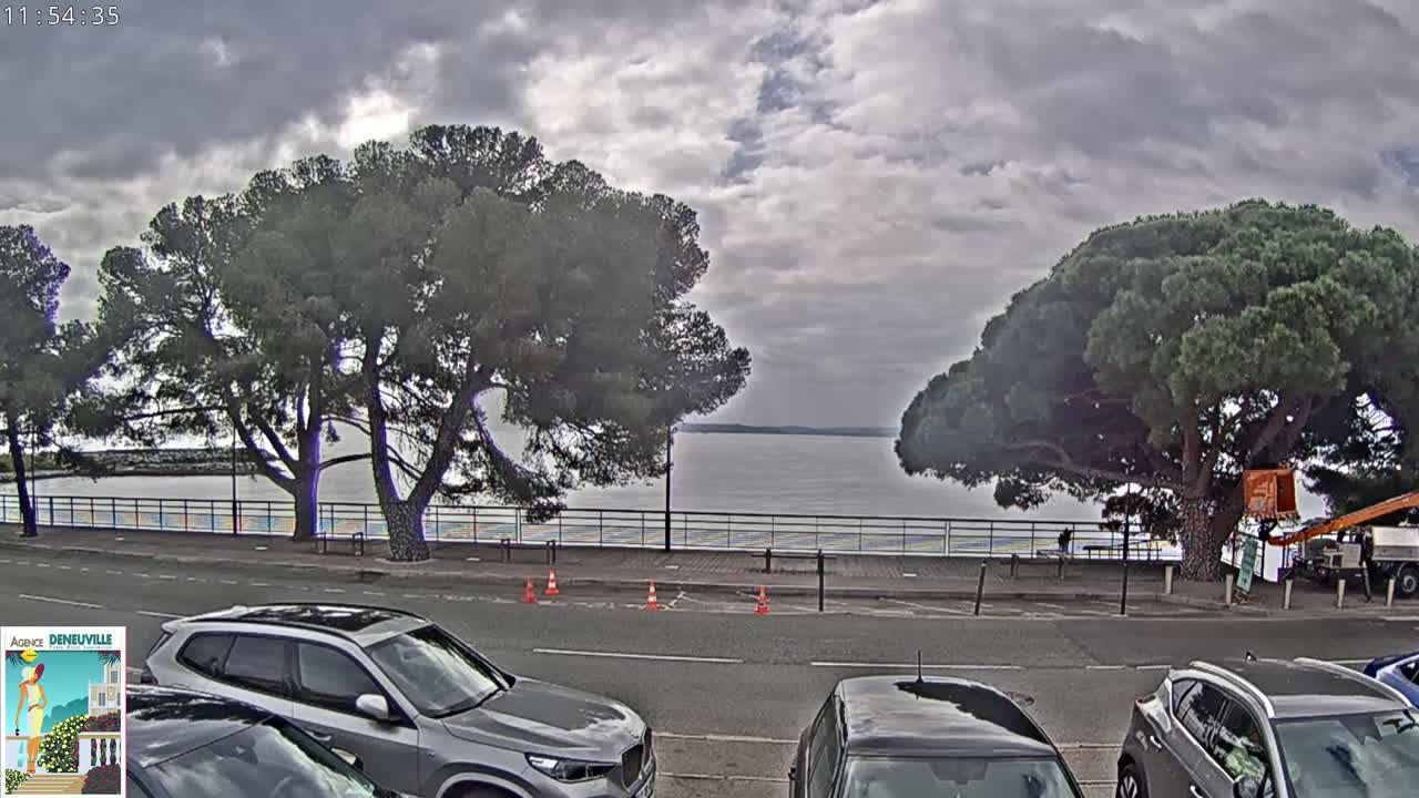 A cloudy day shows a calm body of water beyond a paved area lined with trees and parked cars.