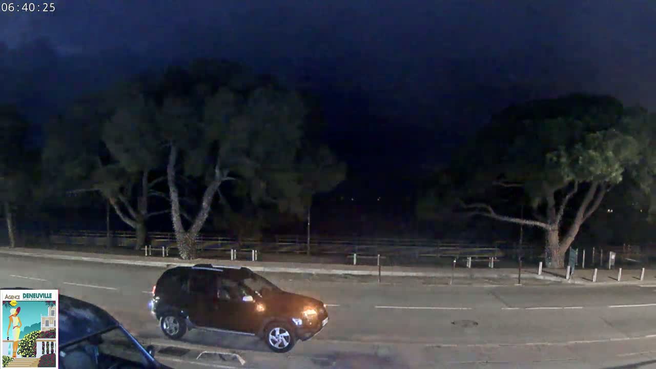 A brown SUV drives on a road at night past dark trees under a dark sky.