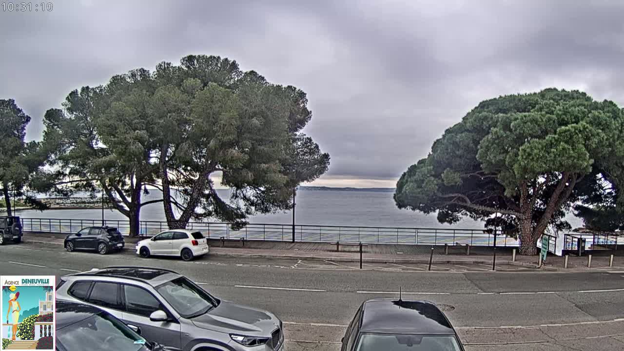 A calm body of water is visible beyond a roadside lined with parked cars and large, green pine trees under an overcast sky.