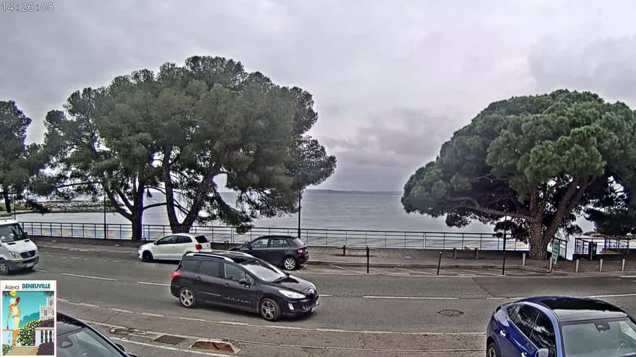 Several cars are parked along a road that overlooks a calm body of water under an overcast sky, with large pine trees shading the roadside.