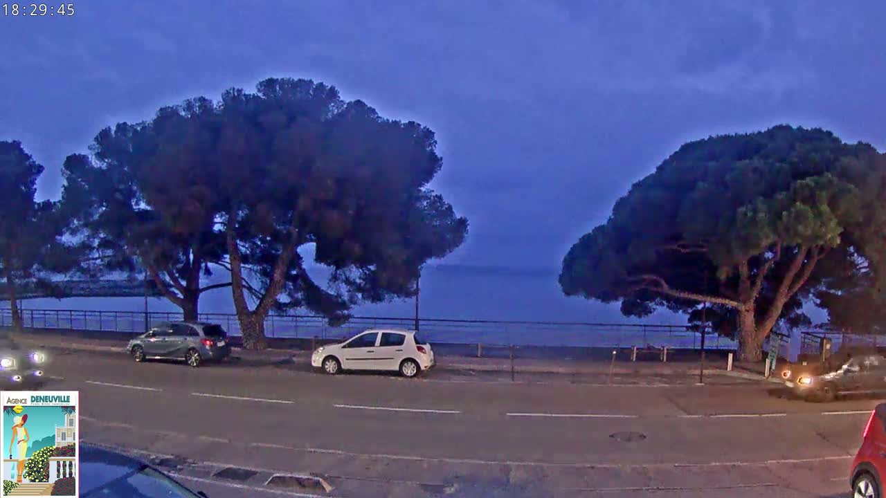 Several cars are parked along a road next to a calm body of water, under a dusky blue sky, with large pine trees on either side.