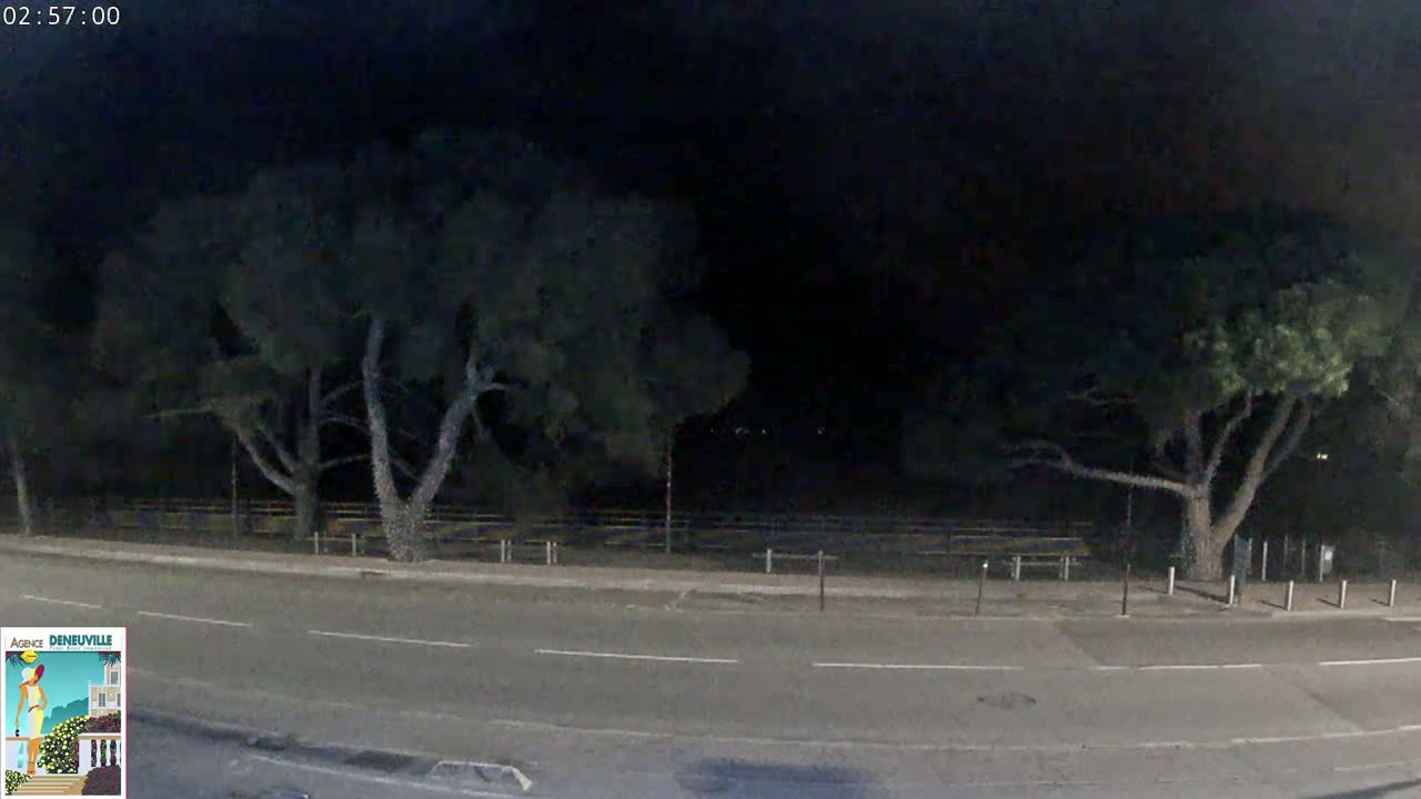 A nighttime street scene shows a road flanked by dark trees and a low fence, under a dark sky.