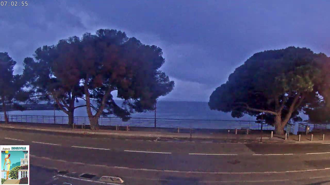 A dark, overcast sky hangs over a calm body of water, behind which stand two large, dark pine trees on either side of a road.