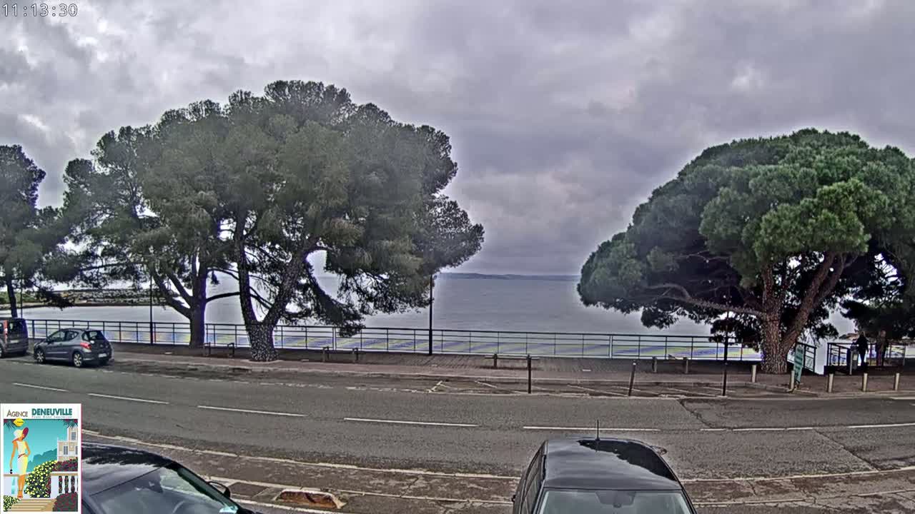 Overcast skies loom over a calm body of water, bordered by a road, a fence, and several large pine trees.