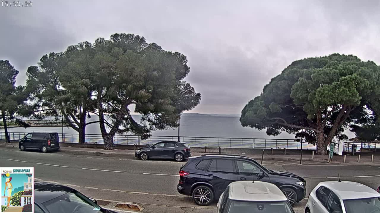 Several cars are parked along a road that overlooks a calm body of water under an overcast sky, with large pine trees shading the roadside.