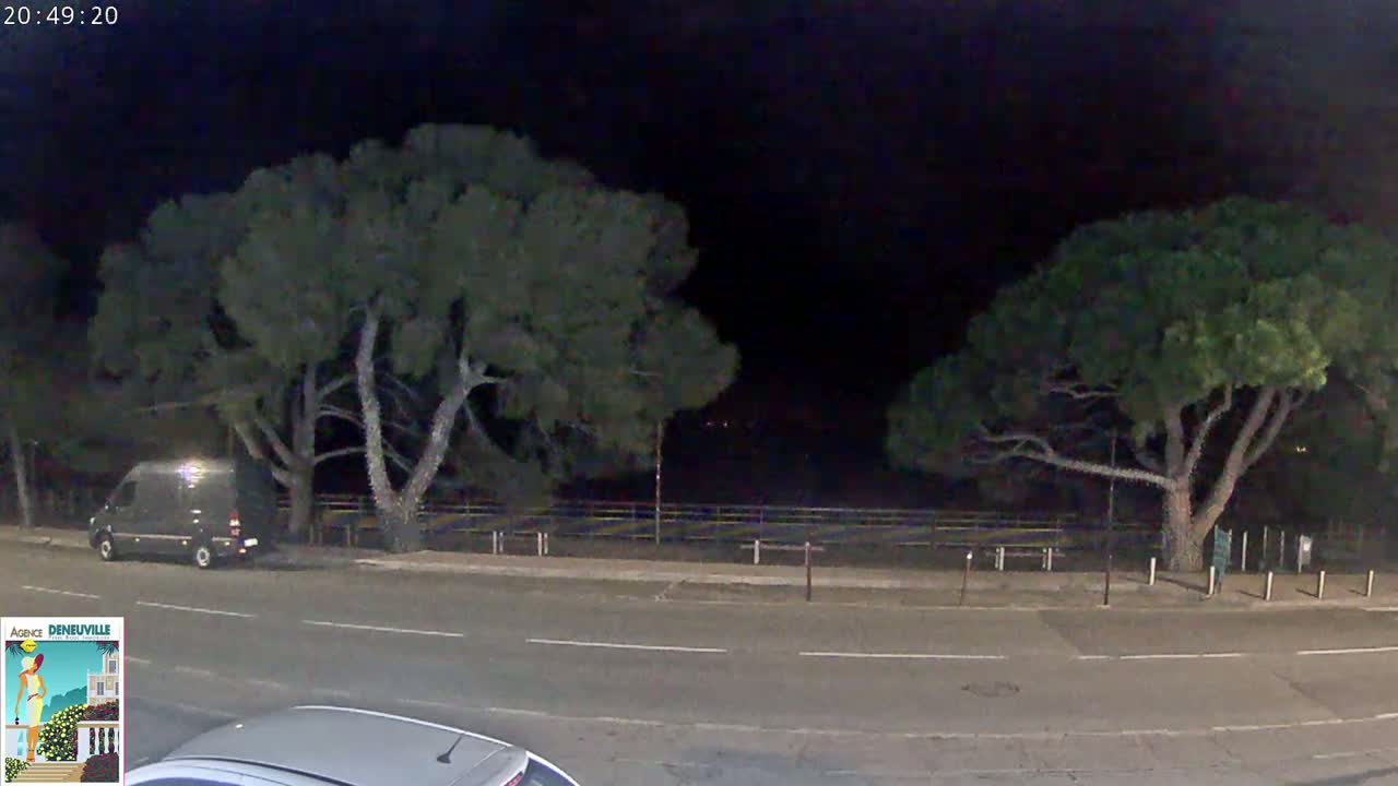A dark, nighttime scene shows a van parked on a street next to two large, dark green trees, with a portion of another vehicle visible in the bottom right corner.