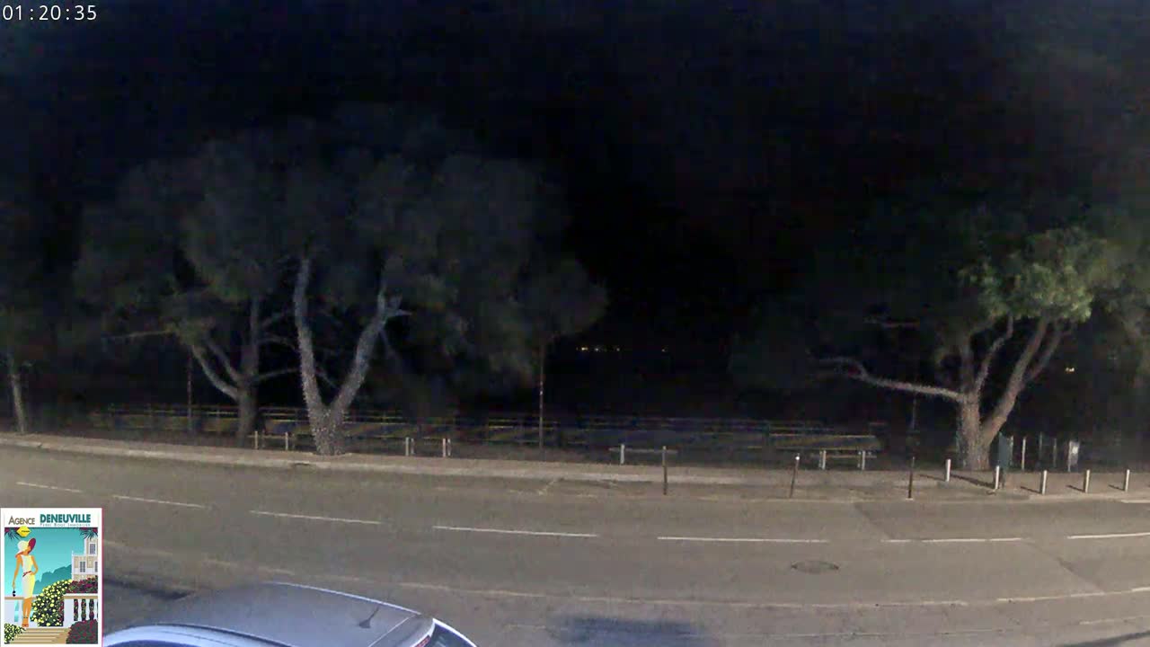 A nighttime street scene shows a road bordered by trees and a low fence, with a sliver of a vehicle visible in the bottom left corner.