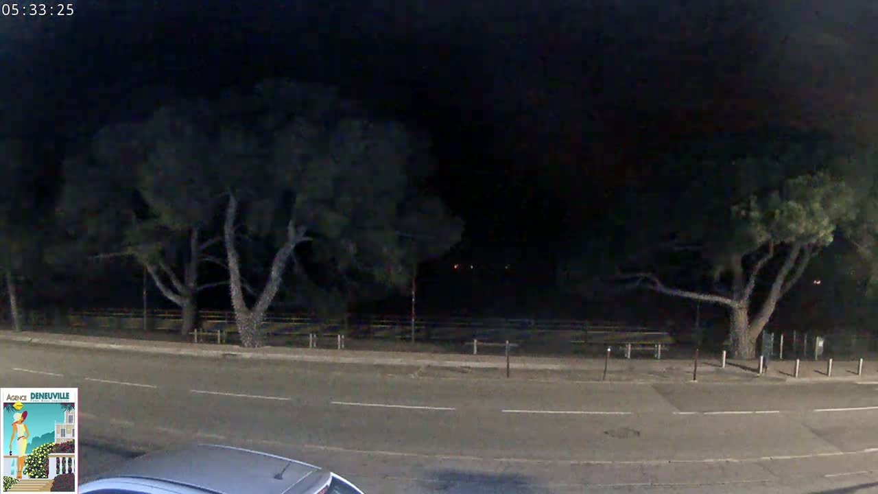 A nighttime view of a road bordered by trees under a dark sky.