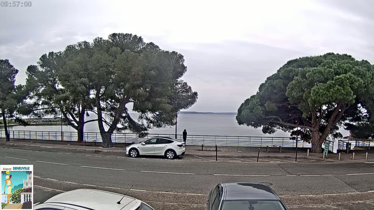 A white Tesla parked near a roadway overlooking a calm body of water under an overcast sky, with large pine trees flanking the scene.