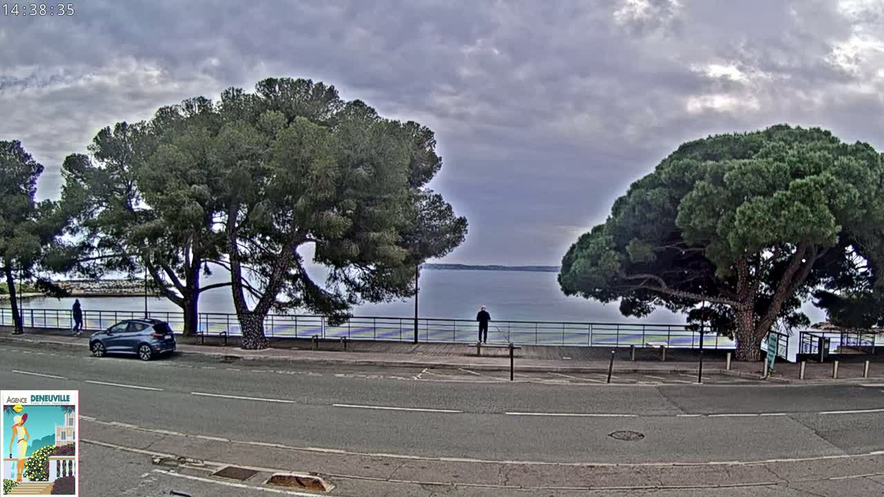 A calm body of water is visible beyond a road lined with large pine trees, a parked car, and a lone person standing by a fence under an overcast sky.