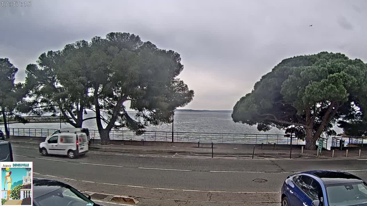 A calm body of water is visible beyond a road lined with trees, under an overcast sky.