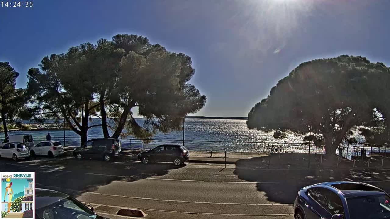 Cars are parked along a road next to a calm body of water under a sunny sky, with large pine trees shading the roadside.