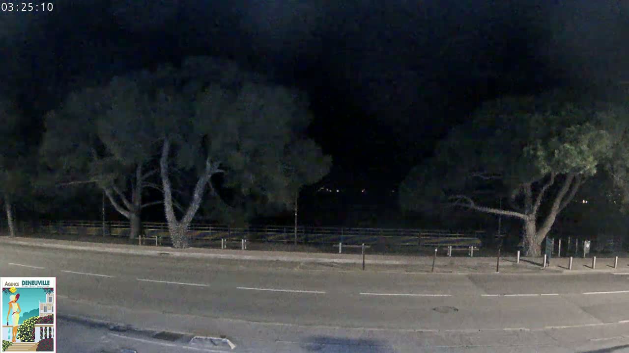 A dark, nighttime street scene shows a road bordered by trees and a low fence under a mostly clear sky.