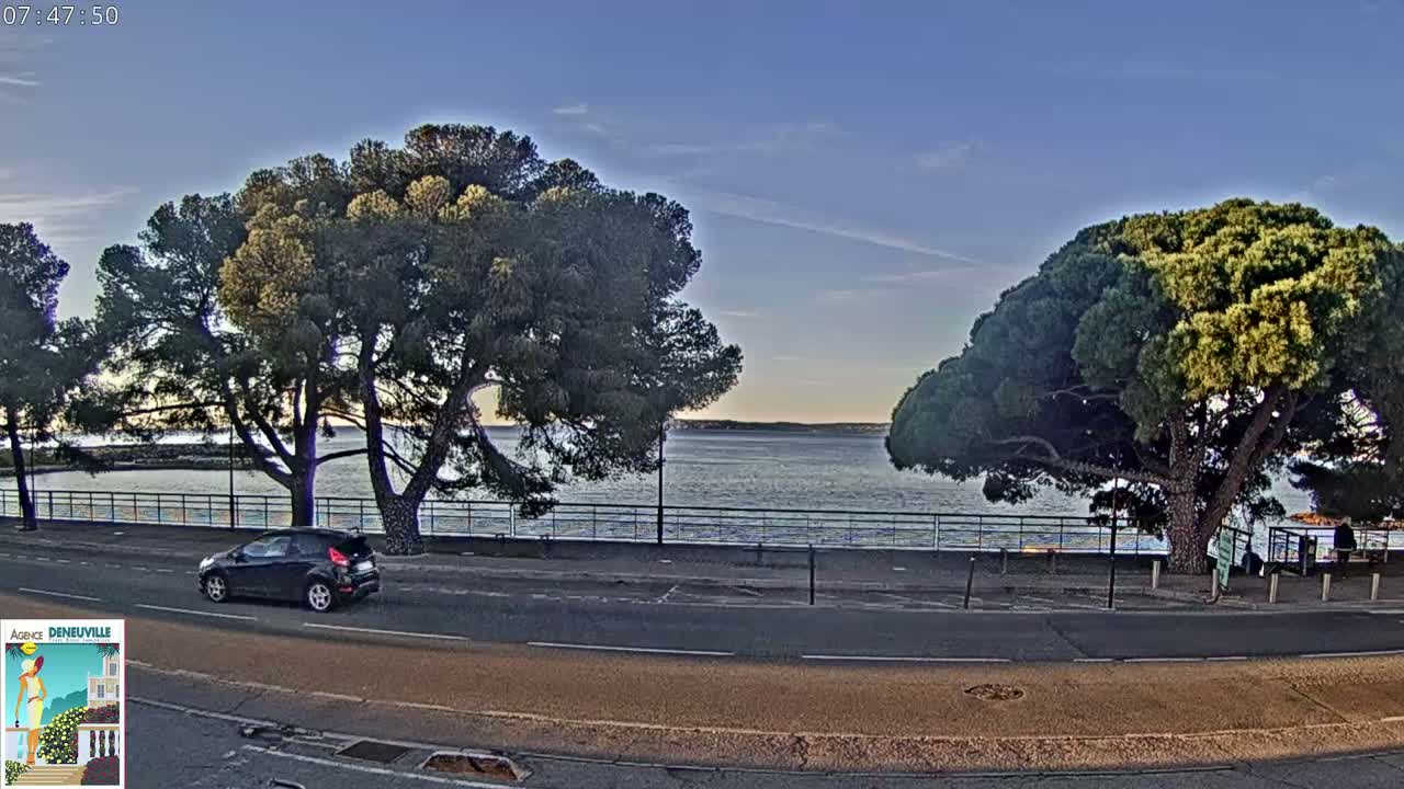 A dark-colored car drives along a road next to a calm body of water, under a clear, twilight sky, with large pine trees on either side.