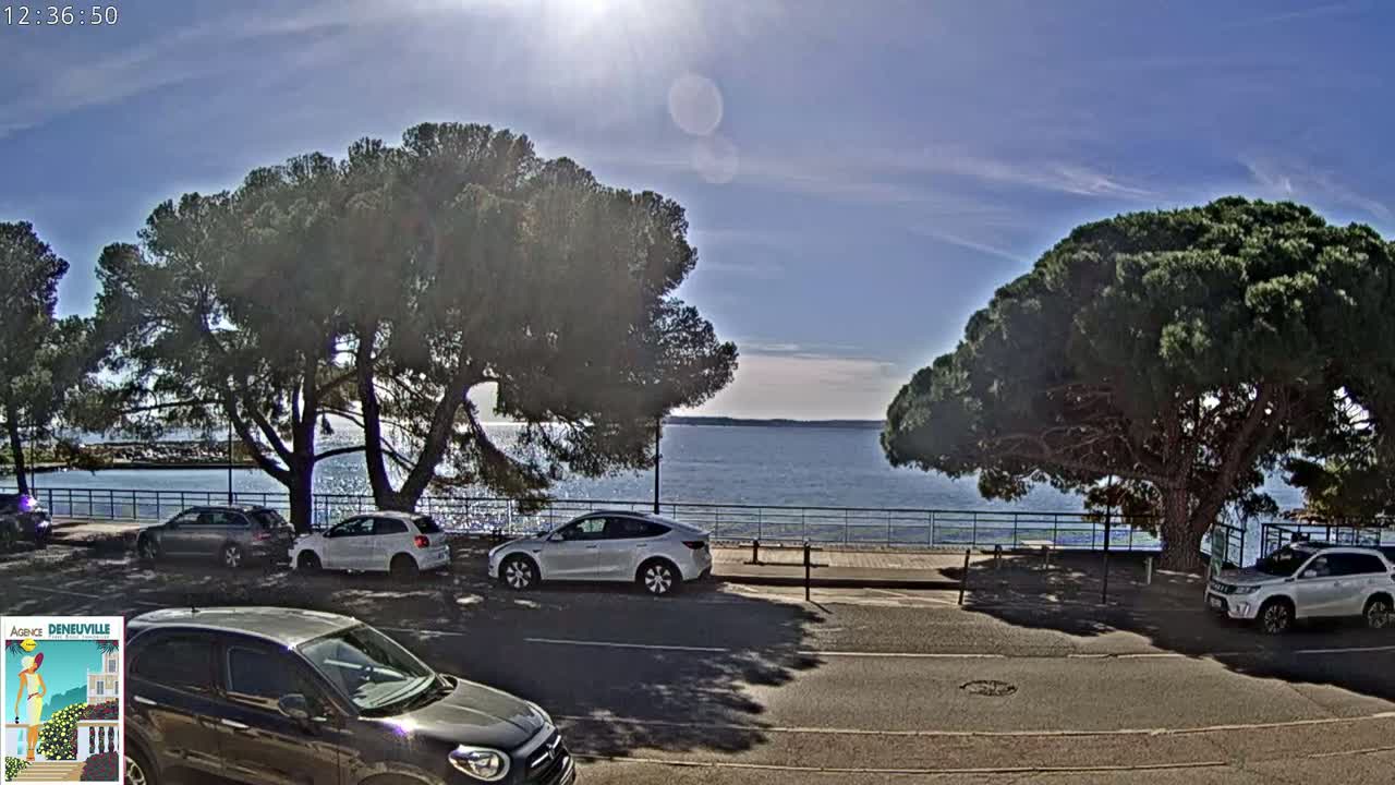 Several cars are parked along a road next to a calm body of water, under a sunny sky with some clouds, shaded by large pine trees.