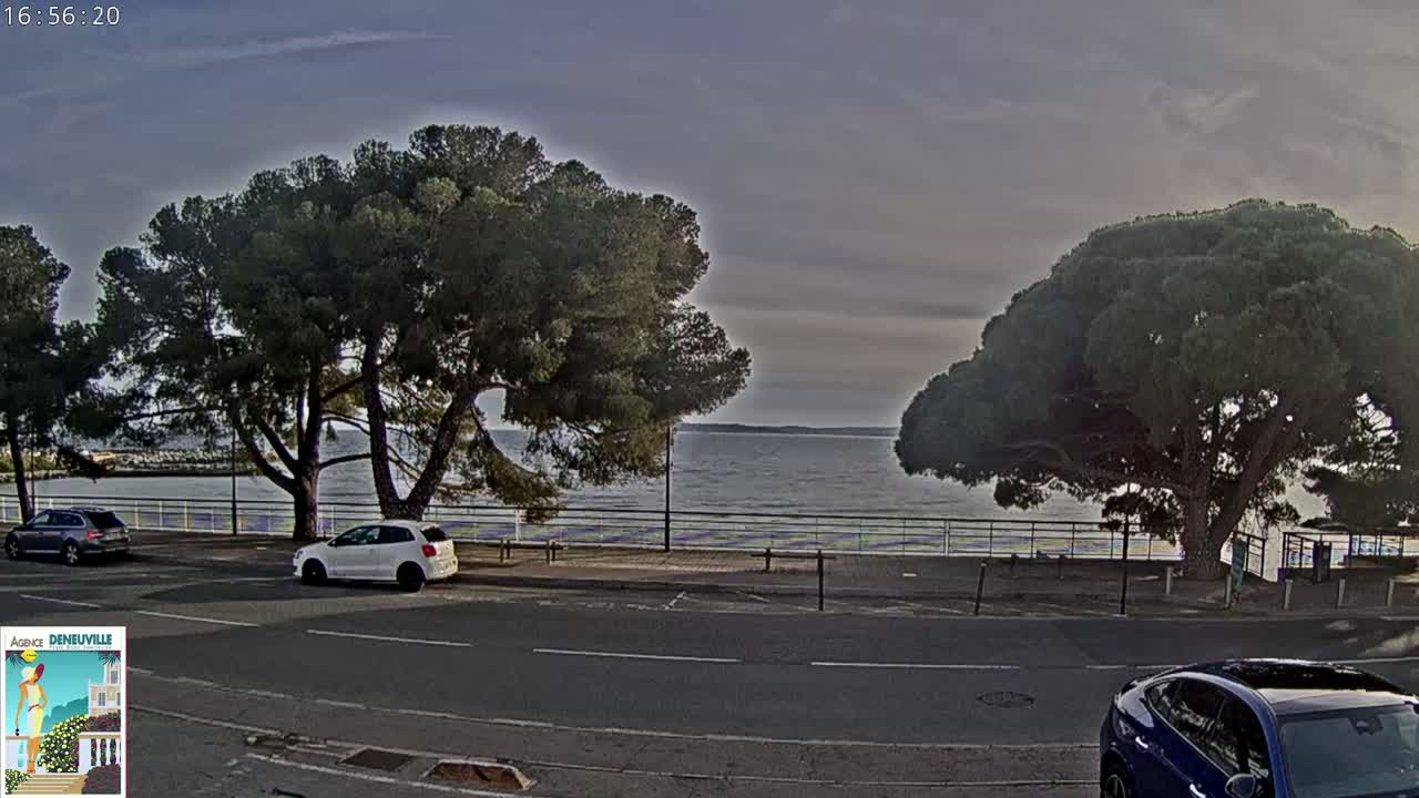 A calm body of water is visible beyond a road lined with large, dark green trees and parked cars under a mostly cloudy sky.