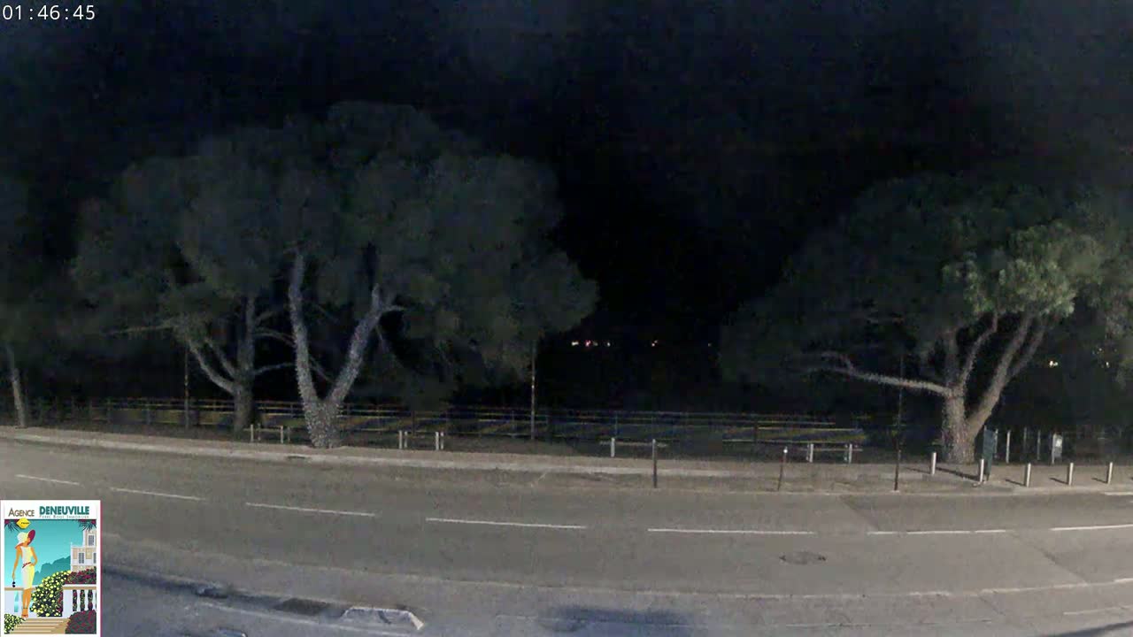 A dark nighttime scene shows a road flanked by two large trees and a low fence, with faint lights visible in the distance.