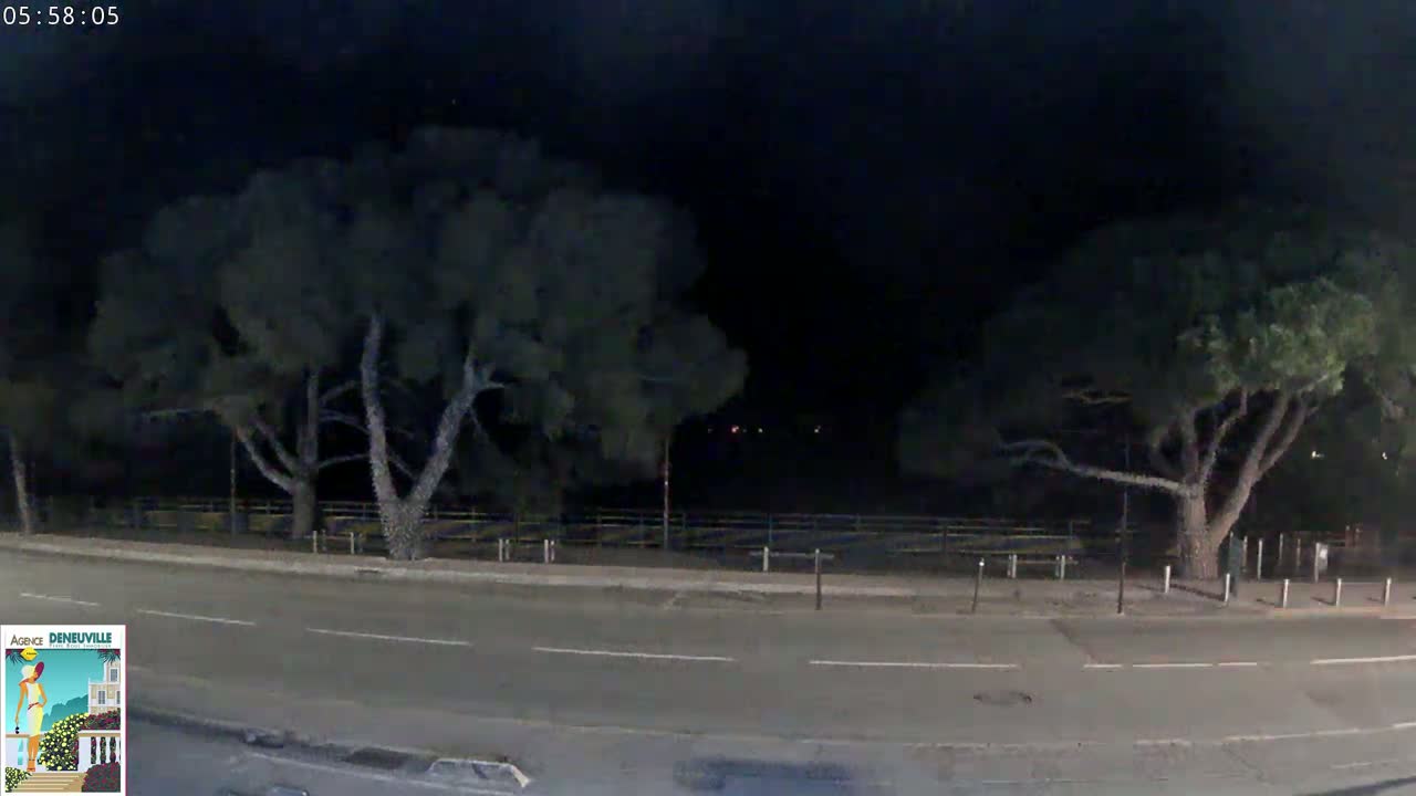 A nighttime street scene shows a road flanked by two large, dark trees under a dark sky.
