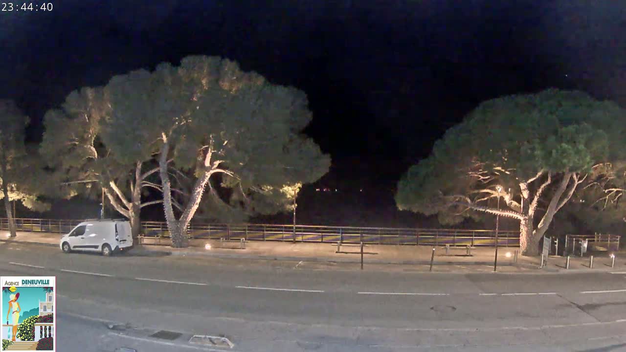 A nighttime street scene shows a white van parked near two large, illuminated trees beside a low fence, under a dark, clear sky.