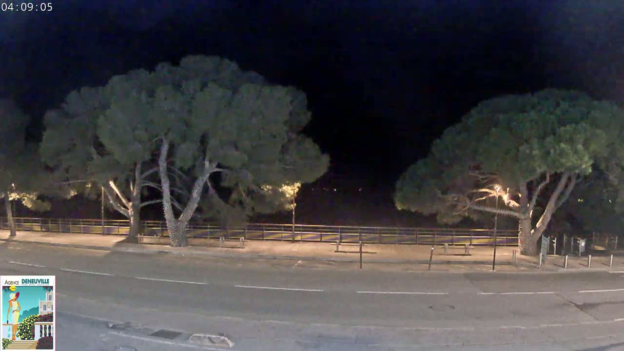 A nighttime street scene shows a roadway bordered by two large, dark green pine trees, each with a lamppost nearby, and a low fence separating the street from a dimly lit area beyond.