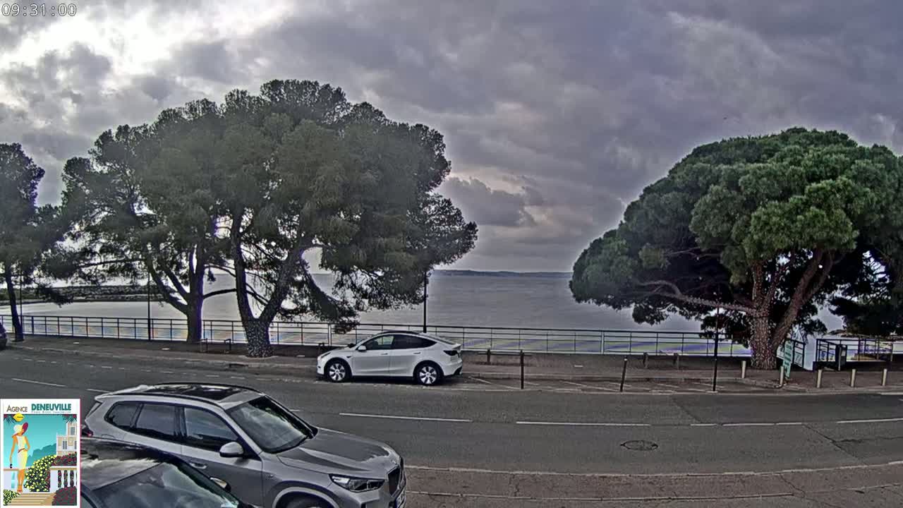 A cloudy day shows a body of water behind a roadside with parked cars and large pine trees under an overcast sky.