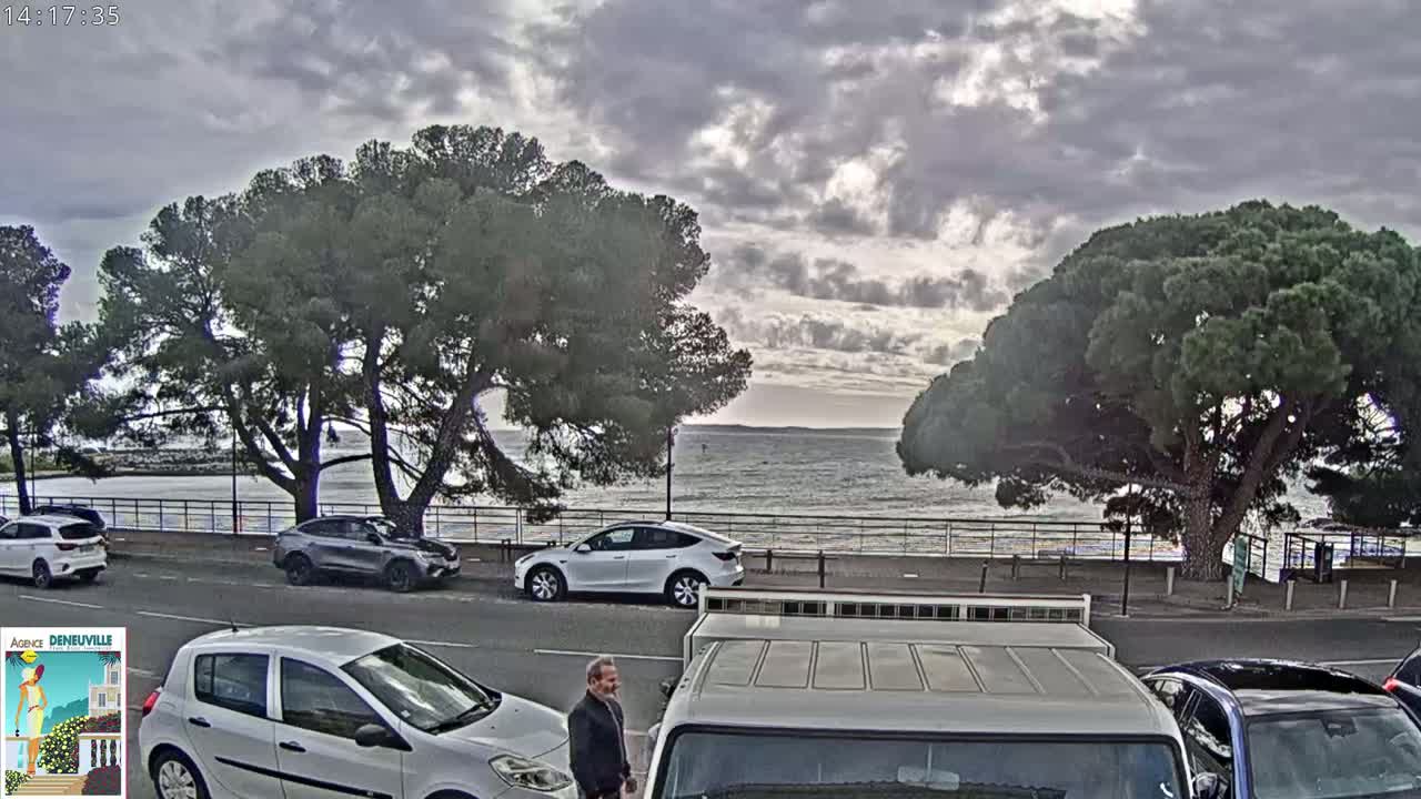 Several cars are parked along a roadside lined with large pine trees, overlooking a calm body of water under a cloudy sky.