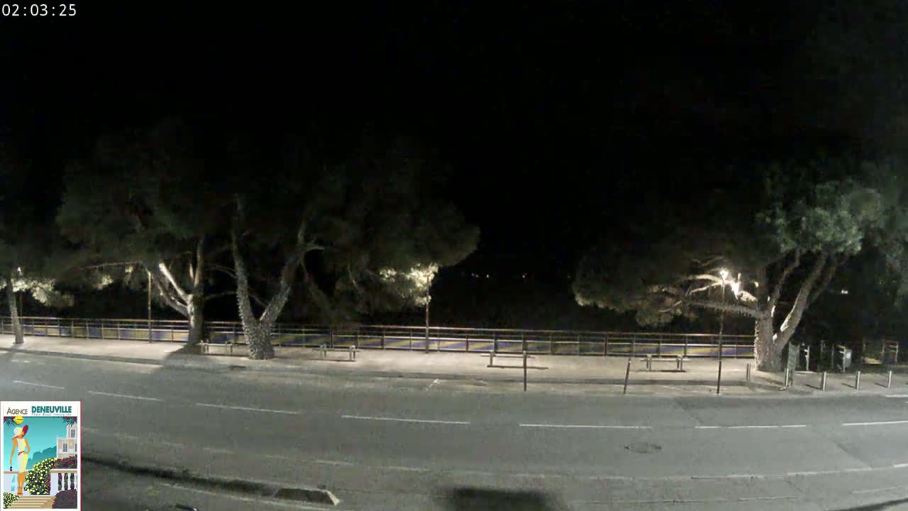 A nighttime street scene shows a paved road flanked by trees and a low wall, under dark skies.