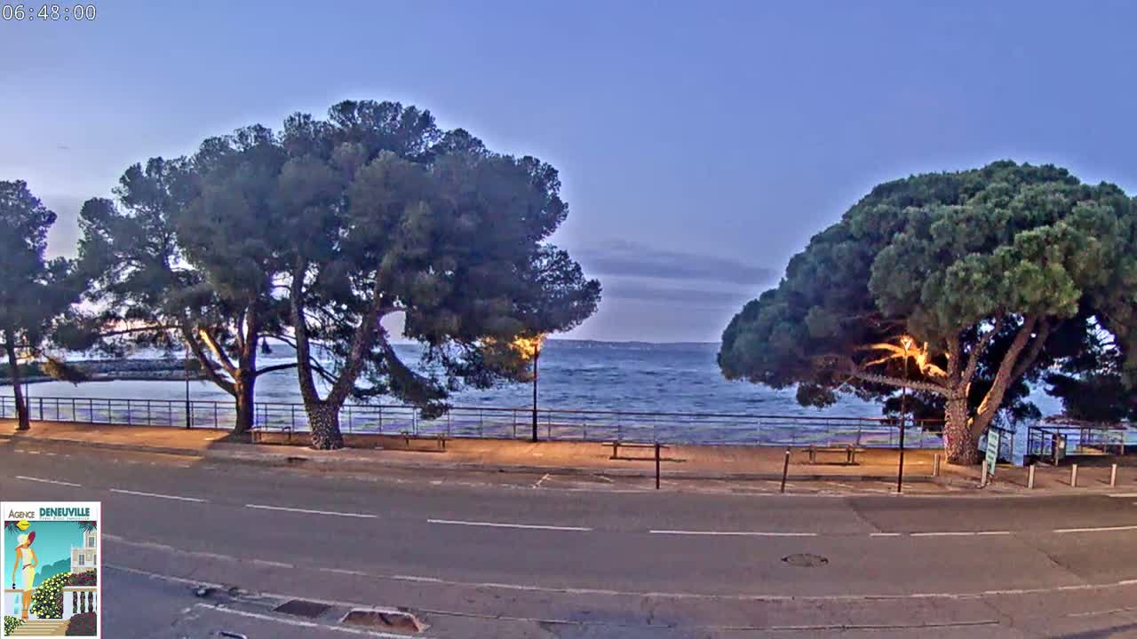 A calm, twilight-lit seaside road is lined with large pine trees, overlooking a wavy sea.